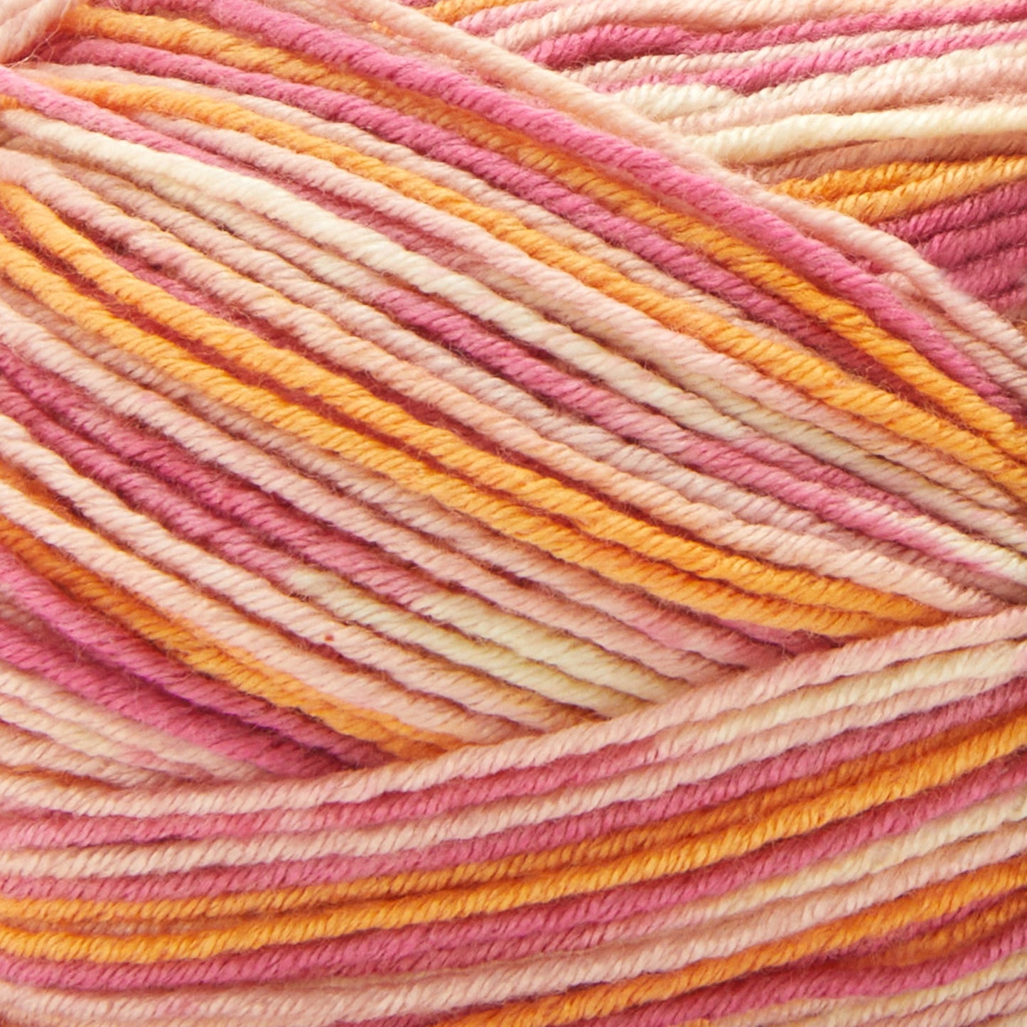 Premier Fruits Sock Yarn